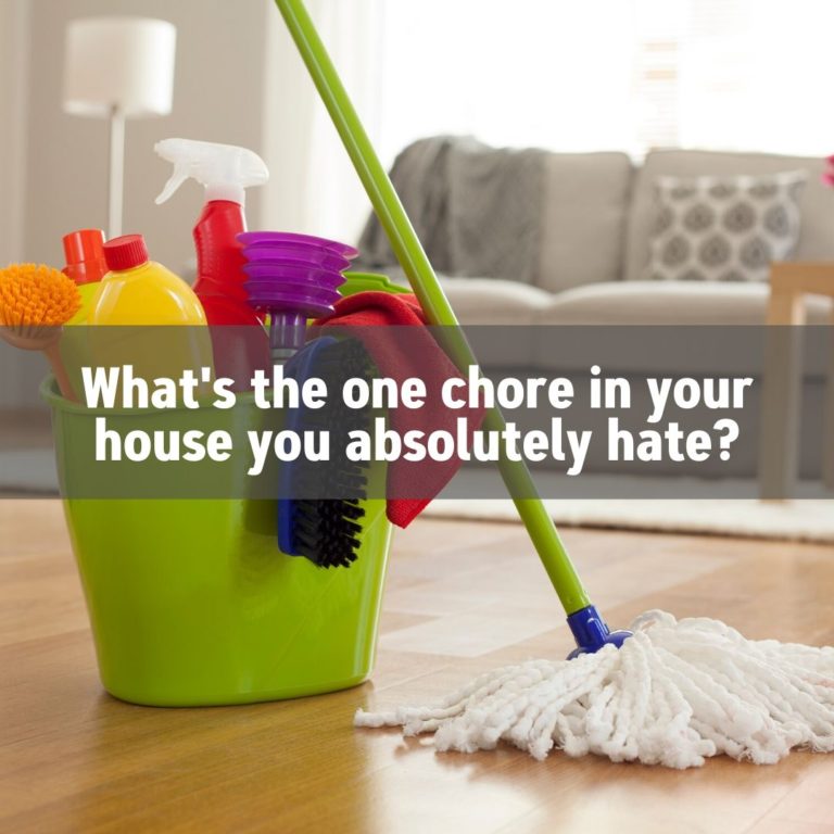 What's the one chore in your house you absolutely hate?